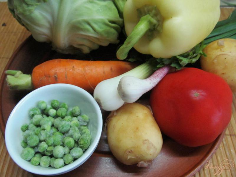 Фото приготовление рецепта: Суп из молодых овощей на курином бульоне с карри шаг №1