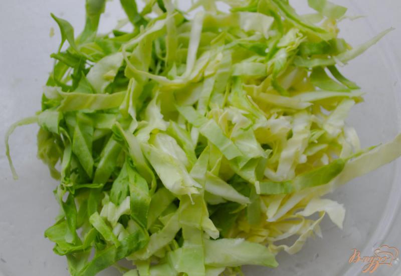 Фото приготовление рецепта: Овощной салат с молодой морковью и капустой шаг №1