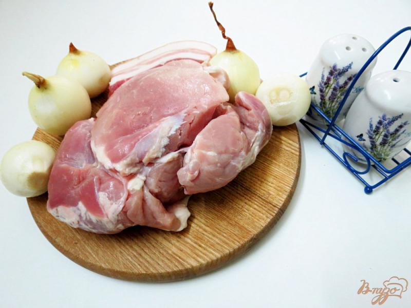 Фото приготовление рецепта: Свинина в луковом соусе шаг №1