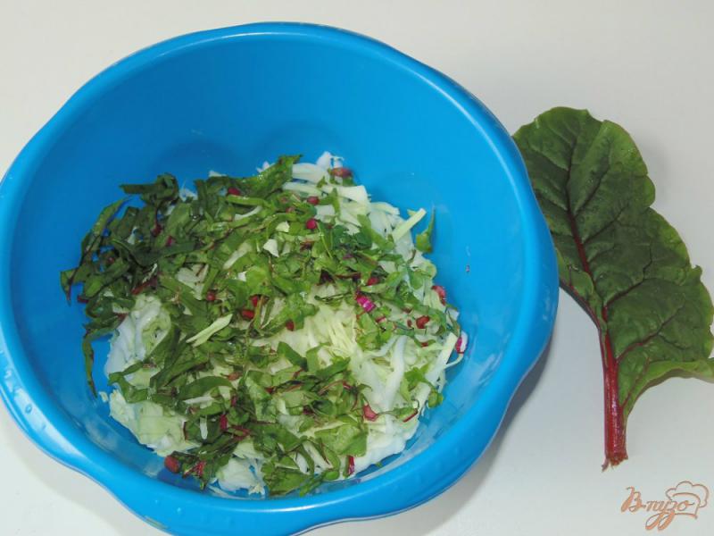 Фото приготовление рецепта: Капустный салат с чесночными стрелками шаг №5