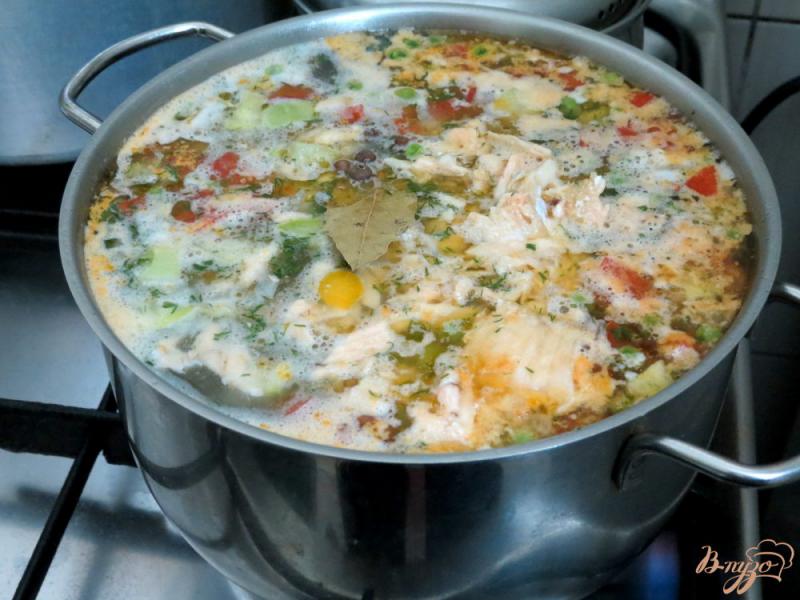 Фото приготовление рецепта: Суп из сёмги, зубатки, пшена и овощей. шаг №8