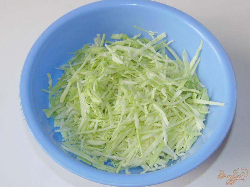 Фото приготовление рецепта: Салат из молодой капусты с чесночно-лимонной заправкой шаг №1