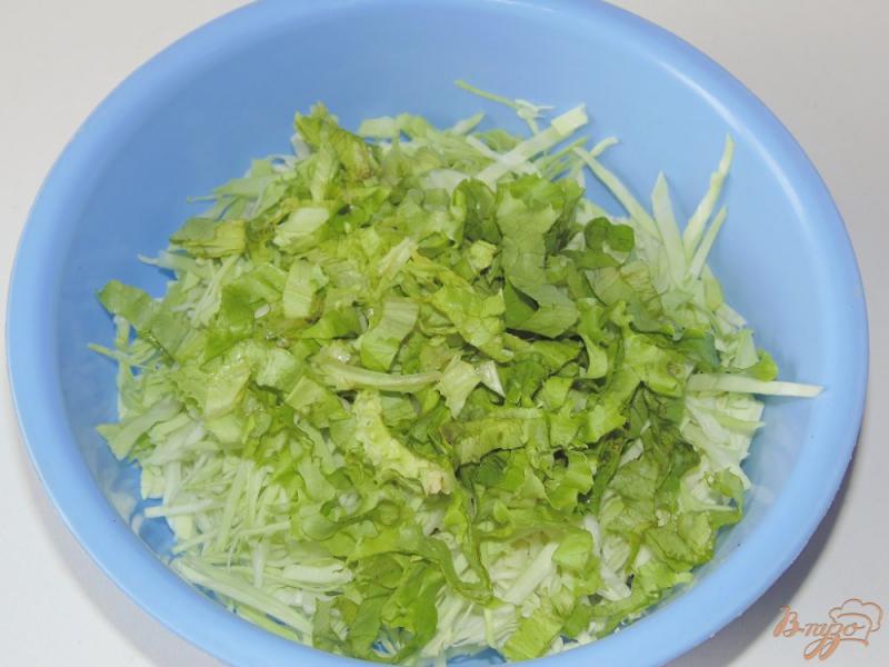 Фото приготовление рецепта: Салат из молодой капусты с чесночно-лимонной заправкой шаг №2
