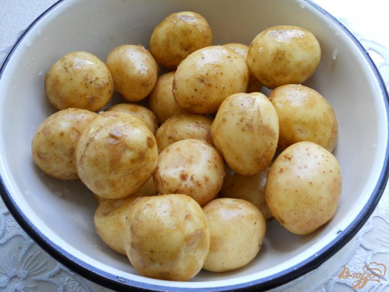 Фото приготовление рецепта: Давленый молодой картофель запеченный в духовке шаг №1