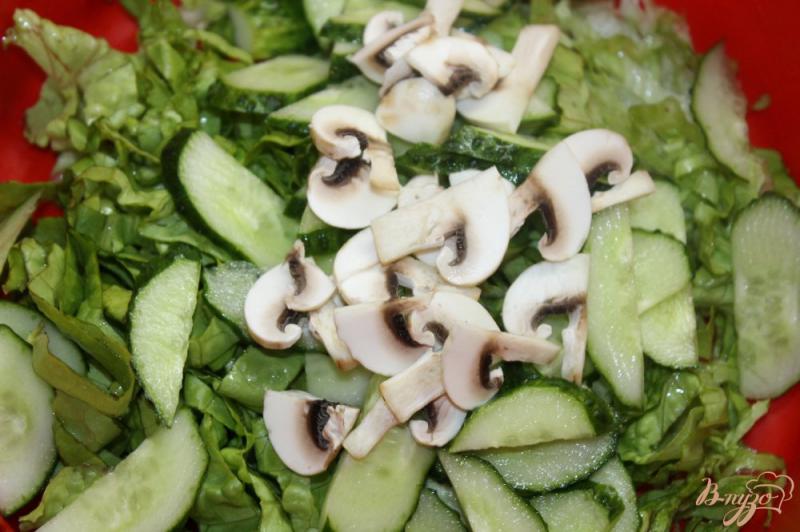 Фото приготовление рецепта: Салат с сыром фета, шампиньонами и свежими овощами шаг №3