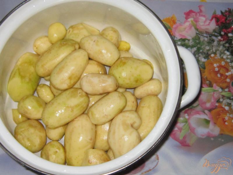Фото приготовление рецепта: Молодой картофель в сметанном соусе шаг №1