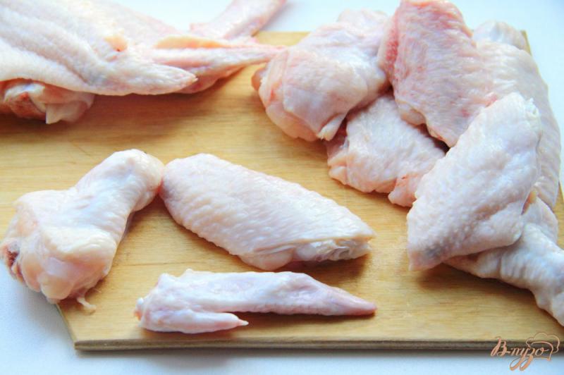 Фото приготовление рецепта: Куриные крылышки в маринаде с аджикой шаг №1