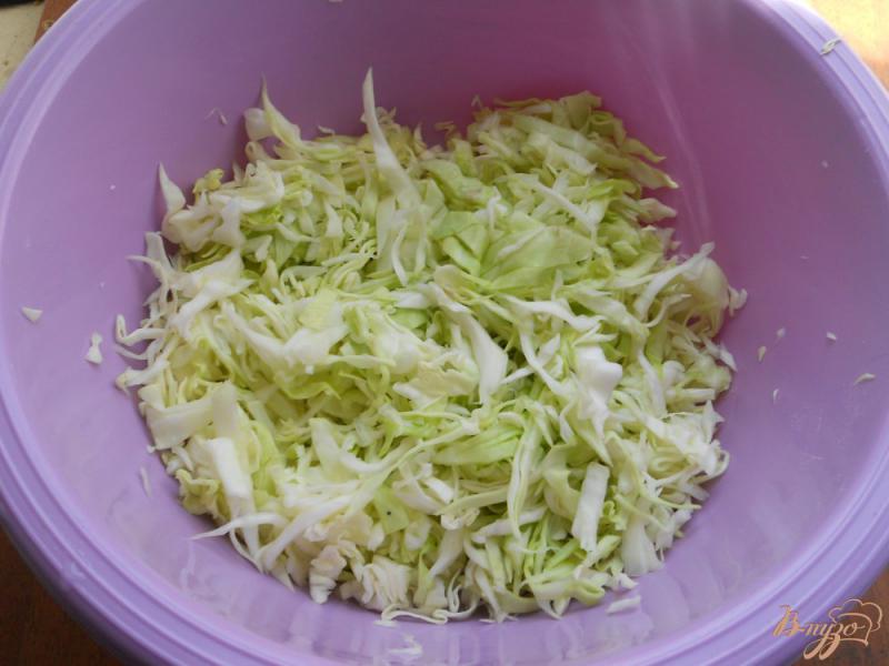 Фото приготовление рецепта: Салат из капусты и овощей со сметаной и чесноком шаг №1