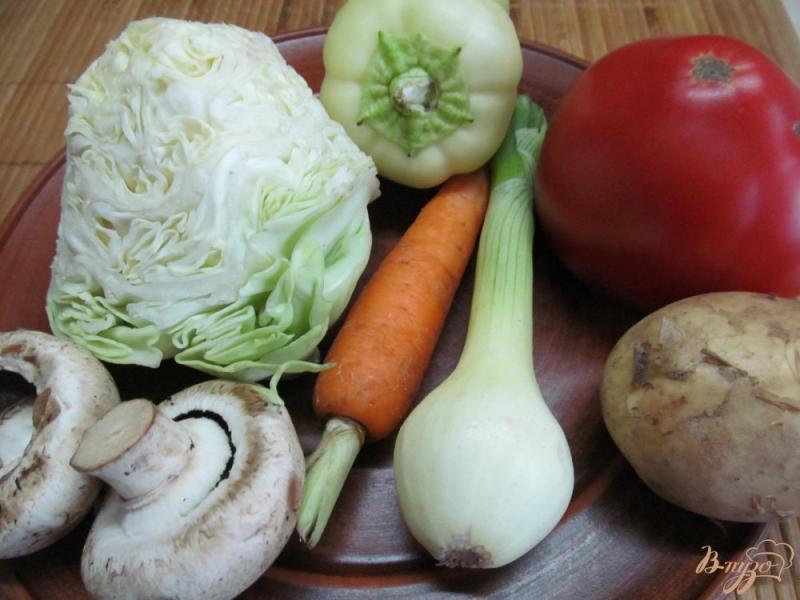 Фото приготовление рецепта: Овощное рагу с грибами и молодой капустой шаг №1