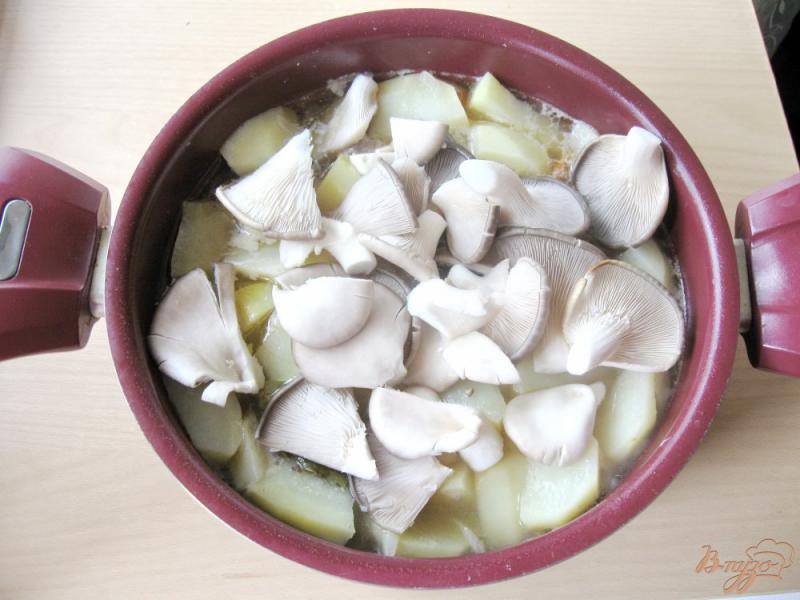 Фото приготовление рецепта: Жаркое из курицы с грибами шаг №8