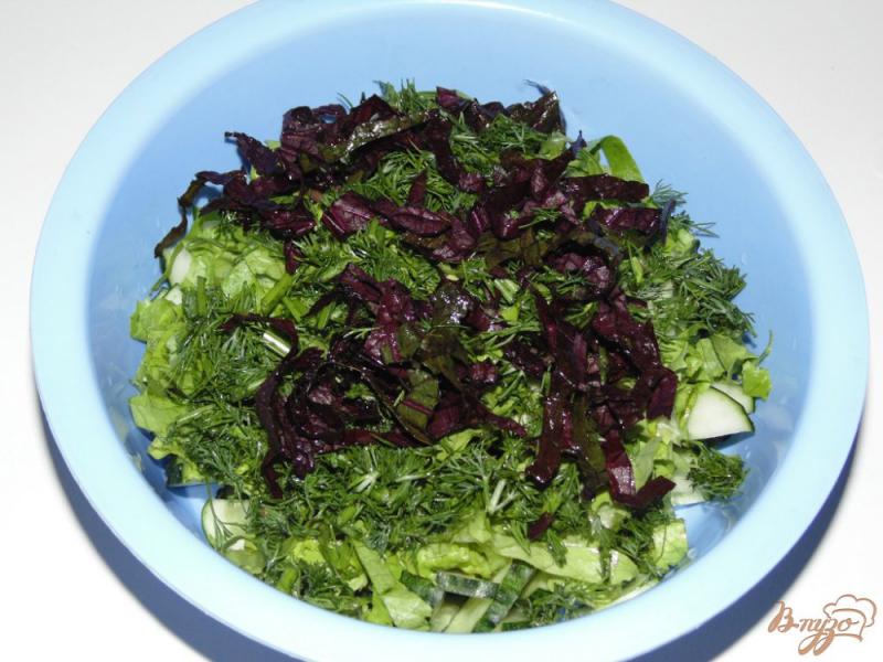 Фото приготовление рецепта: Салат из огурцов с базиликом шаг №3
