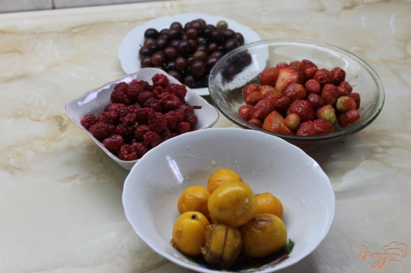 Фото приготовление рецепта: Освежающий компот с абрикосами, малиной и крыжовником с добавлением мяты шаг №1