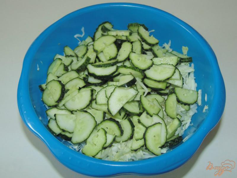 Фото приготовление рецепта: Капустный салат с медово-уксусной заправкой шаг №2