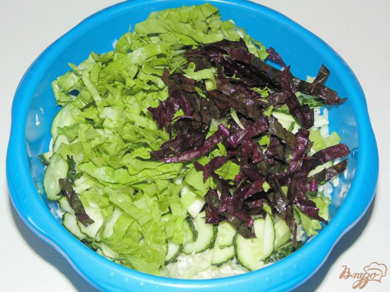 Фото приготовление рецепта: Капустный салат с медово-уксусной заправкой шаг №3