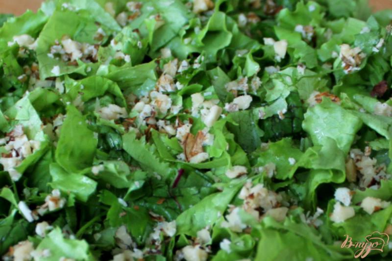 Фото приготовление рецепта: Зеленый салат с грецкими орехами чесноком и сыром шаг №3