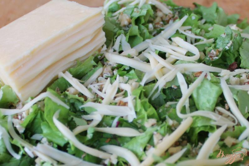 Фото приготовление рецепта: Зеленый салат с грецкими орехами чесноком и сыром шаг №4