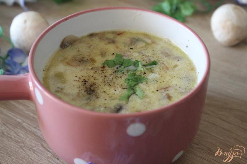 Фото приготовление рецепта: Грибной суп с сыром шаг №9
