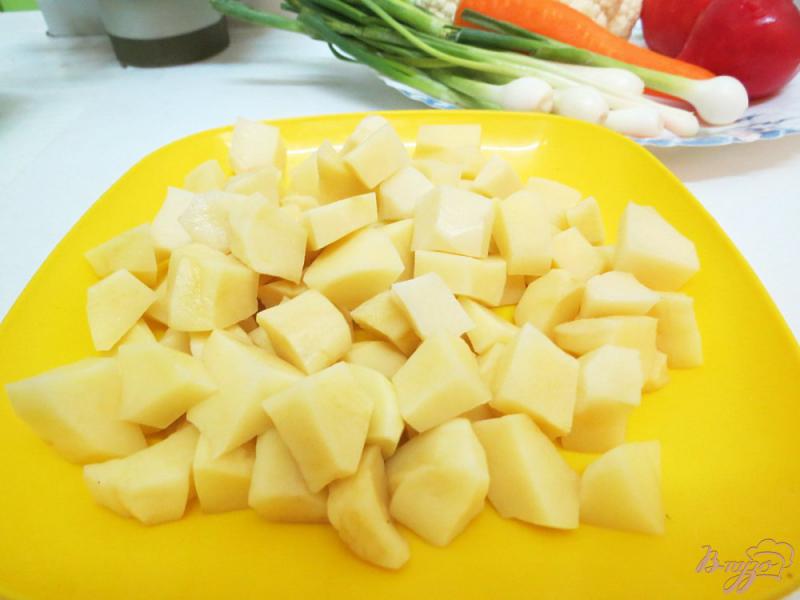 Фото приготовление рецепта: Суп из цветной капусты и помидоров (без зажарки) шаг №2