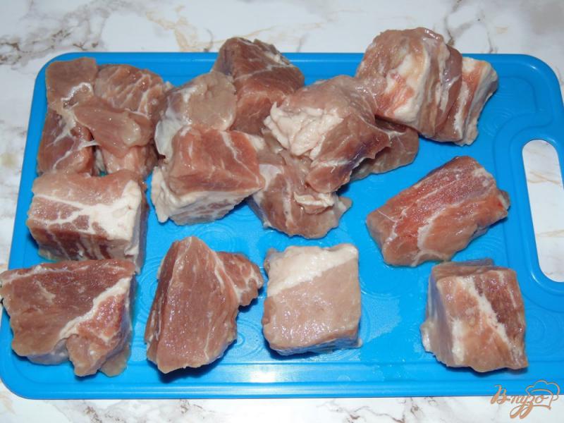 Фото приготовление рецепта: Шашлык из свинины шаг №1