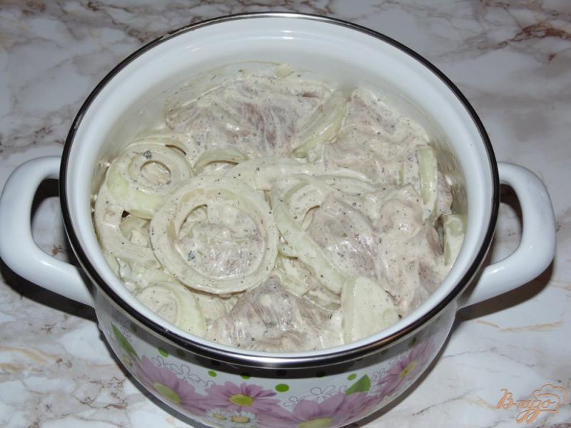 Фото приготовление рецепта: Шашлык из свинины шаг №5