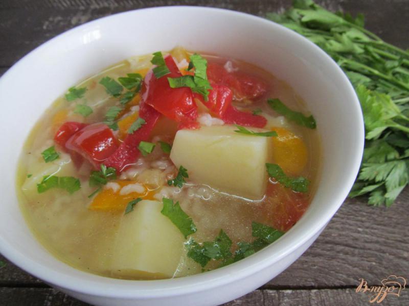 Фото приготовление рецепта: Суп с рисом на баранине шаг №6