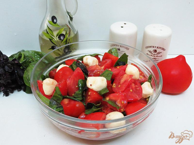 Фото приготовление рецепта: Салат из помидоров, моцареллы и базилика с горчичной заправкой шаг №9