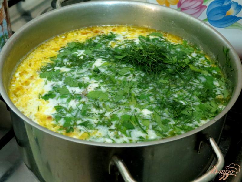 Фото приготовление рецепта: Щавелевый суп с перепелиными яйцами. шаг №8