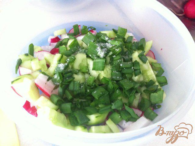Фото приготовление рецепта: Простой весенний салат шаг №4