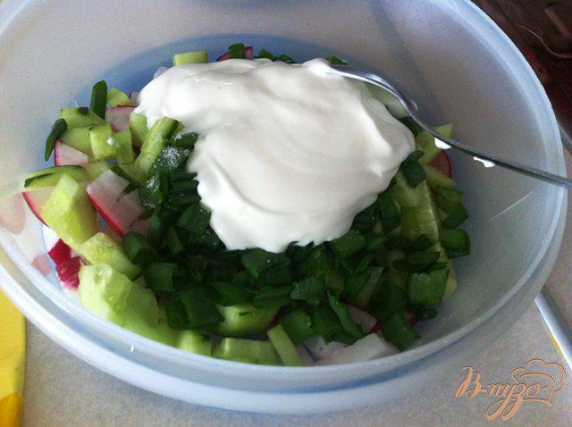 Фото приготовление рецепта: Простой весенний салат шаг №5