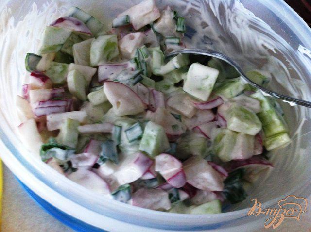 Фото приготовление рецепта: Простой весенний салат шаг №6