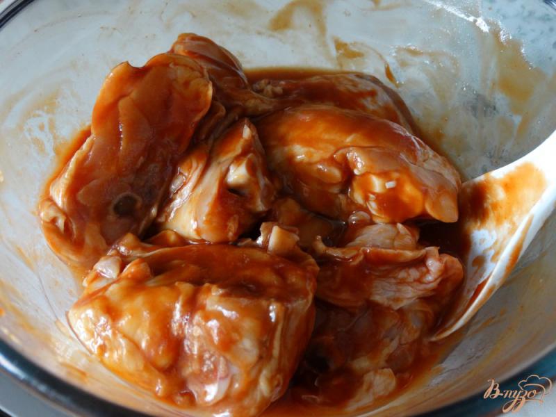 Фото приготовление рецепта: Шашлык в духовке из курицы в кетчупе шаг №3