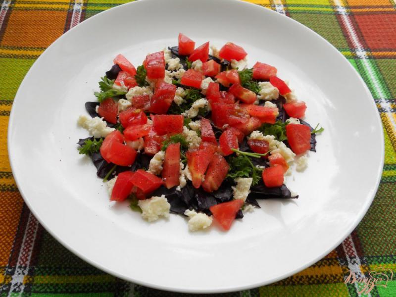 Фото приготовление рецепта: Салат из сырых шампиньонов с помидорами, брынзой и базиликом шаг №4