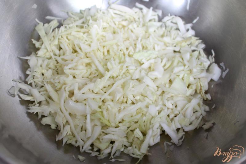 Фото приготовление рецепта: Салат из капусты с огурцом и перцем шаг №1