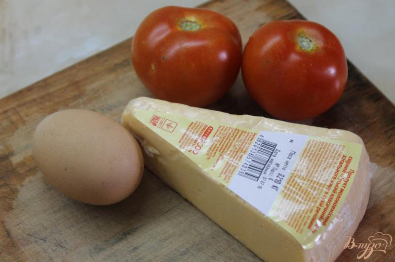 Фото приготовление рецепта: Закуска из помидоров в сырном кляре шаг №1