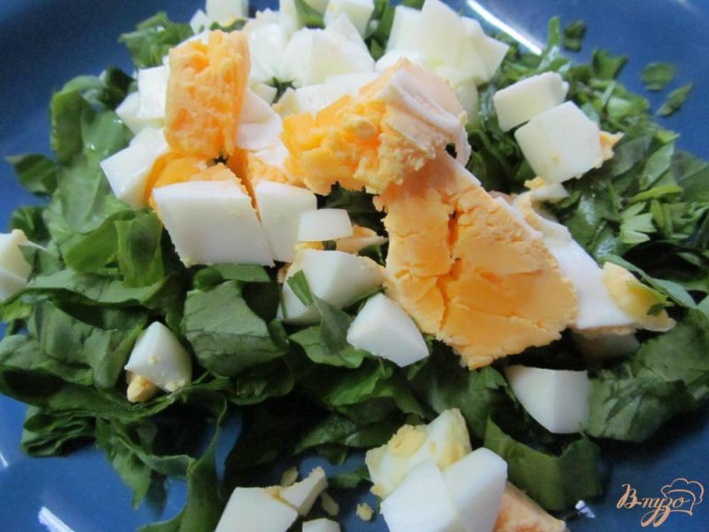 Фото приготовление рецепта: Салат из щавеля с яйцом шаг №2