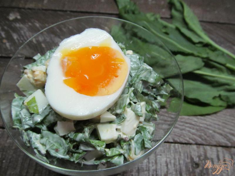 Фото приготовление рецепта: Салат из щавеля с яйцом шаг №4
