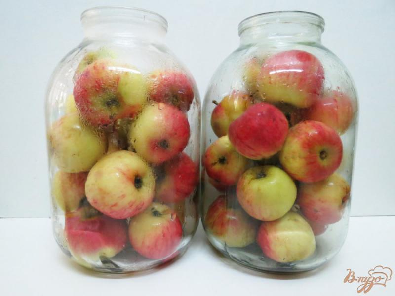 Фото приготовление рецепта: Яблоки натуральные, без сахара шаг №4