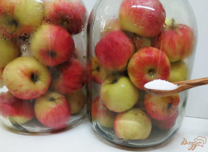 Фото приготовление рецепта: Яблоки натуральные, без сахара шаг №5