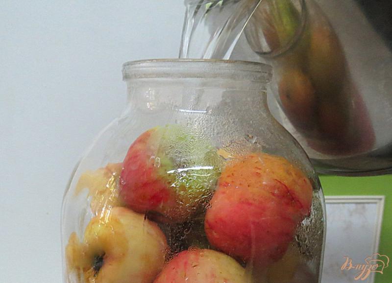 Фото приготовление рецепта: Яблоки натуральные, без сахара шаг №6