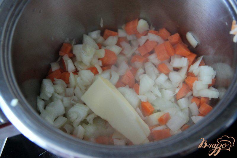 Фото приготовление рецепта: Рагу из курицы с горошком и морковью шаг №2