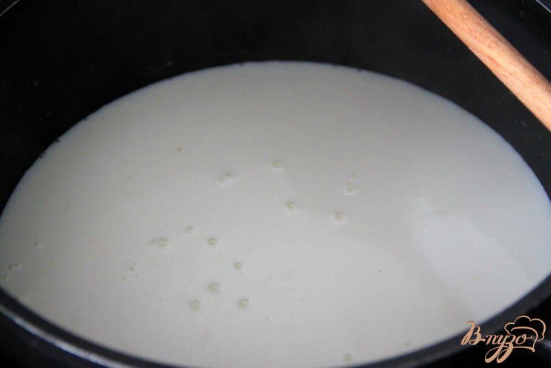 Фото приготовление рецепта: Домашний творог из молока и йогурта шаг №1