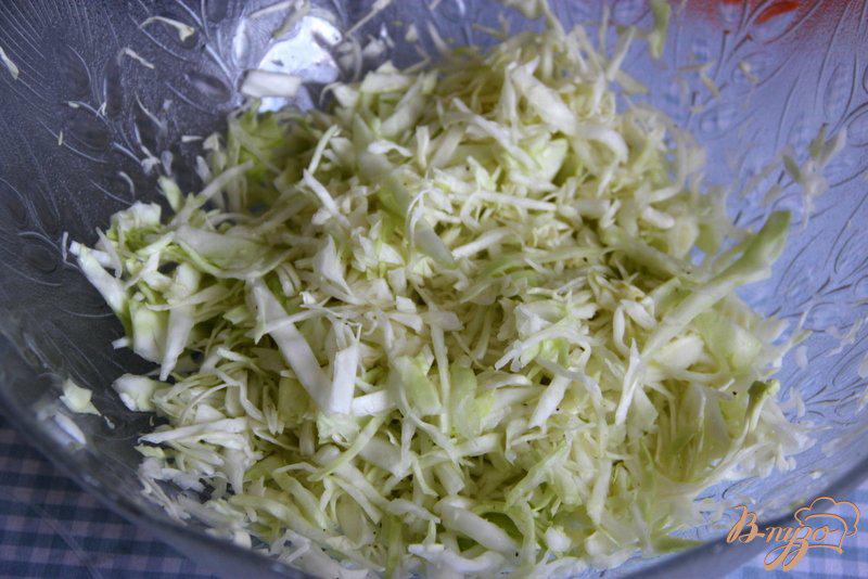 Фото приготовление рецепта: Салат из капусты и болгарского перца шаг №1
