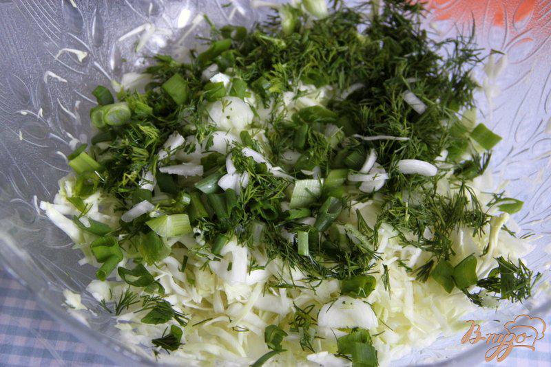 Фото приготовление рецепта: Салат из капусты и болгарского перца шаг №2