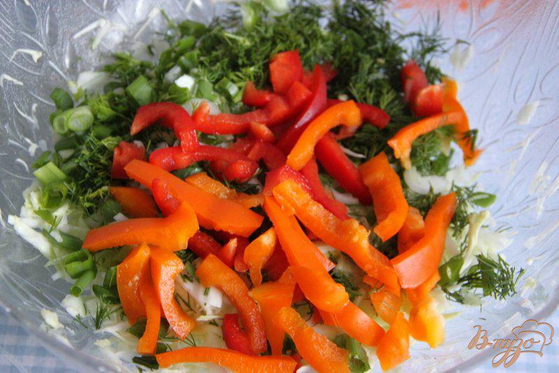 Фото приготовление рецепта: Салат из капусты и болгарского перца шаг №3