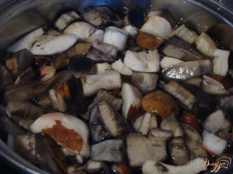 Фото приготовление рецепта: Жаркое из картошки и грибов по-таёжному шаг №1