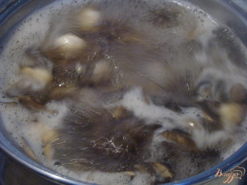 Фото приготовление рецепта: Жаркое из картошки и грибов по-таёжному шаг №2
