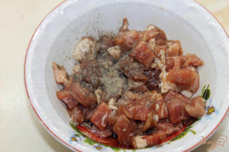 Фото приготовление рецепта: Острая шаурма со свининой и овощами шаг №2
