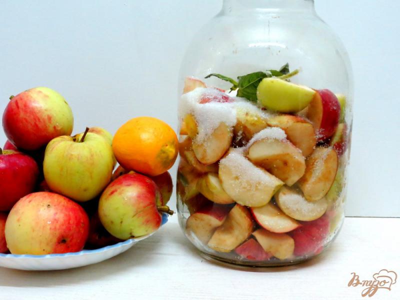 Фото приготовление рецепта: Компот из яблок и базилика на зиму шаг №3