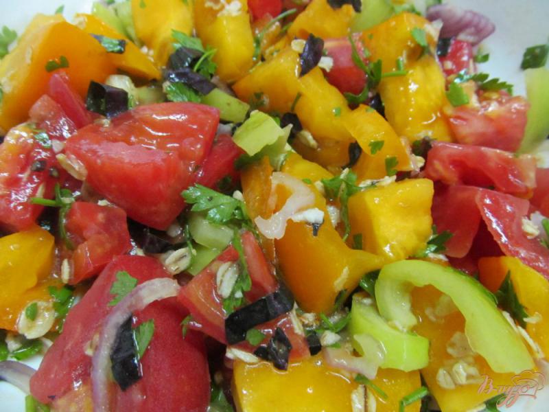 Фото приготовление рецепта: Салат из помидоров с овсяными хлопьями шаг №5
