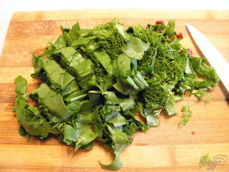 Фото приготовление рецепта: Салат из зелени шаг №3